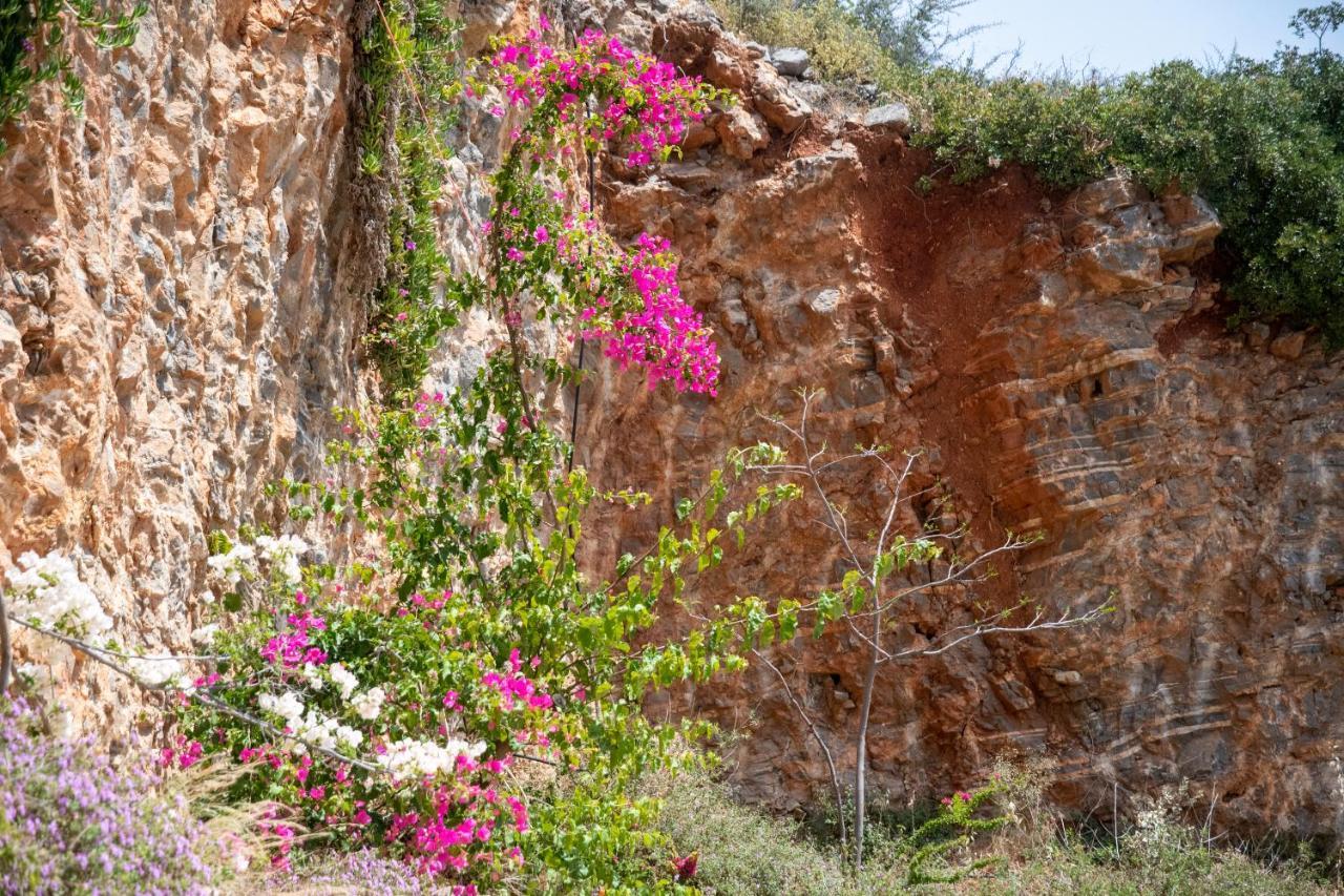 Miracle View Villas Άγιος Νικόλαος Εξωτερικό φωτογραφία