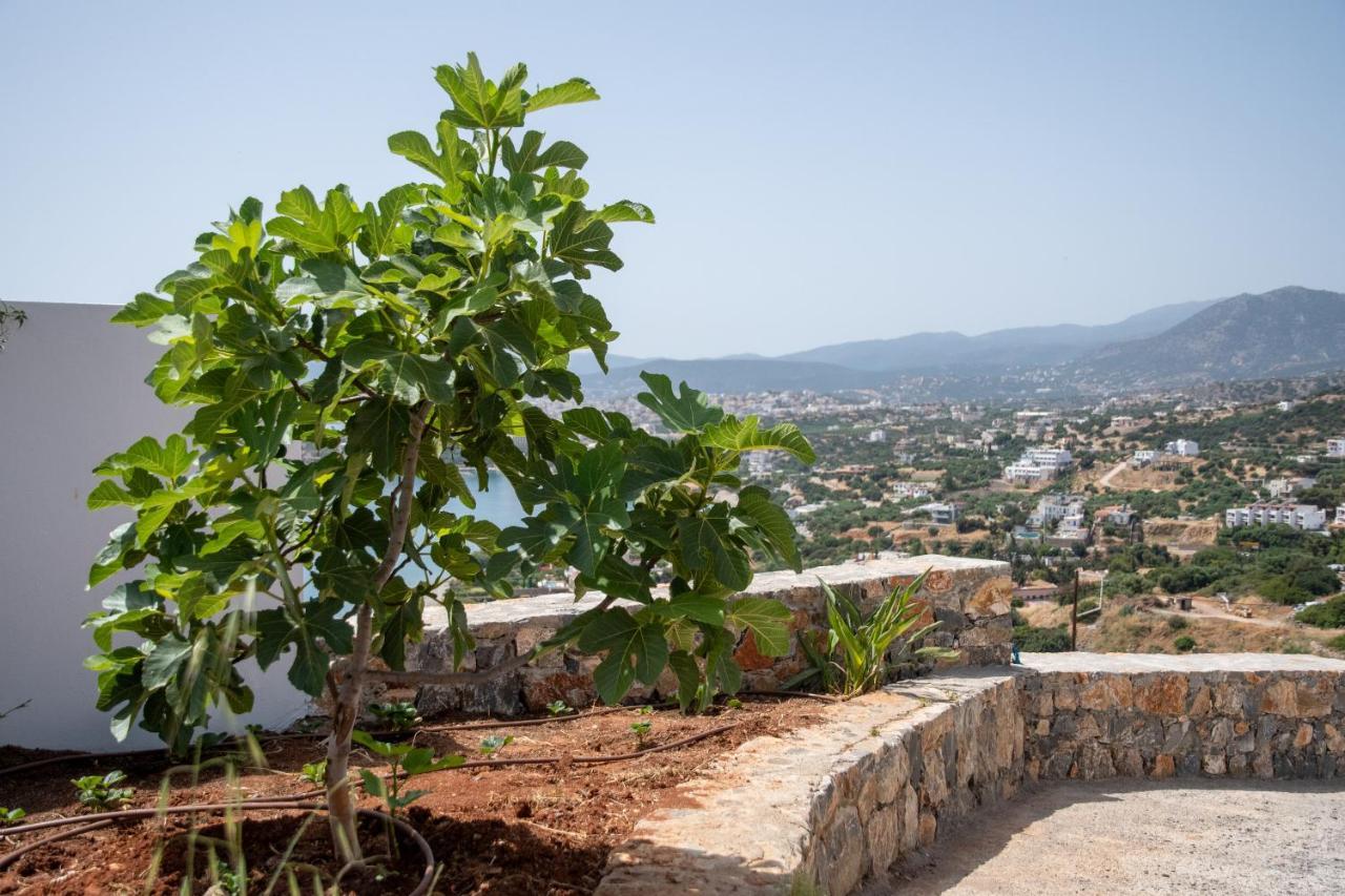Miracle View Villas Άγιος Νικόλαος Εξωτερικό φωτογραφία