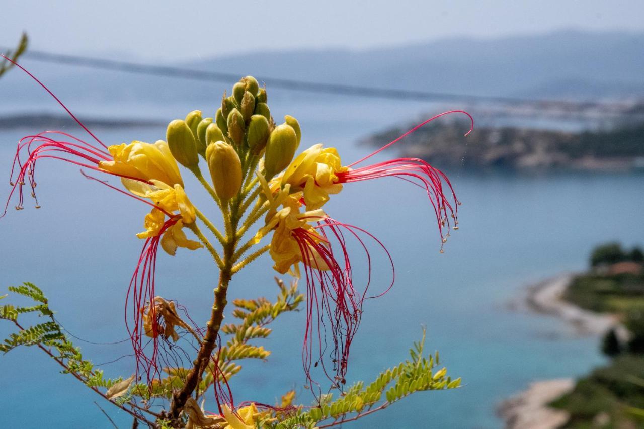 Miracle View Villas Άγιος Νικόλαος Εξωτερικό φωτογραφία